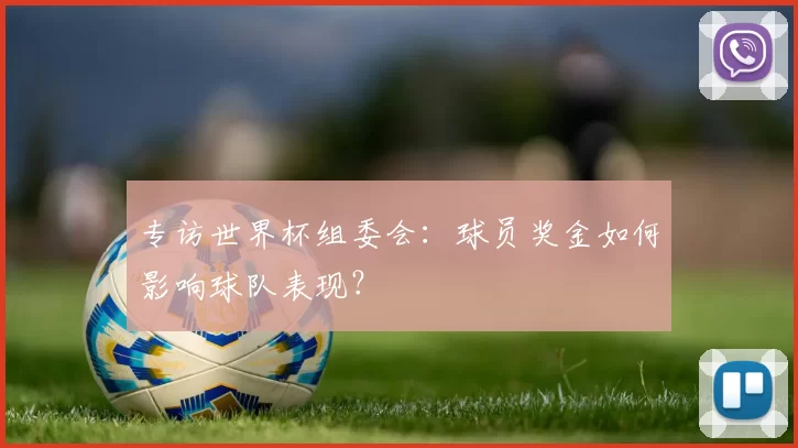 专访世界杯组委会:球员奖金如何影响球队表现?