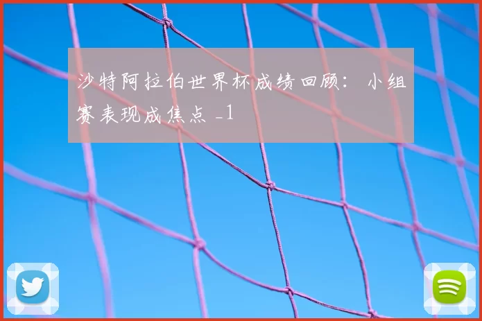 沙特阿拉伯世界杯成绩回顾：小组赛表现成焦点 _1