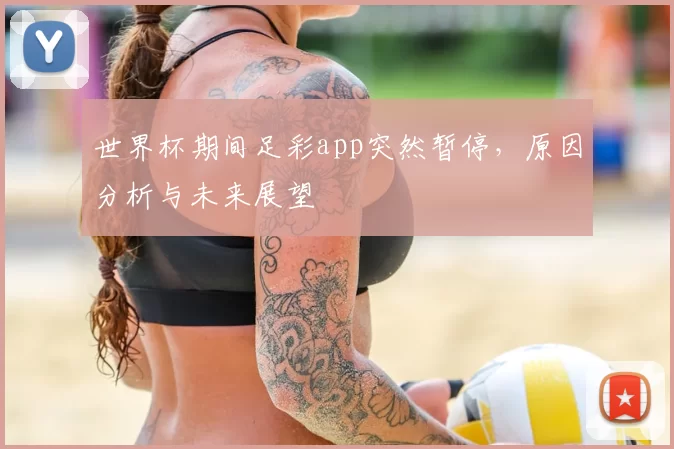 世界杯期间足彩app突然暂停，原因分析与未来展望