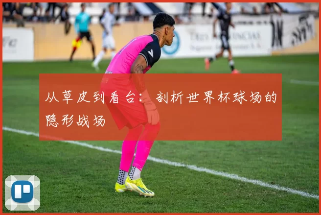从草皮到看台：剖析世界杯球场的隐形战场